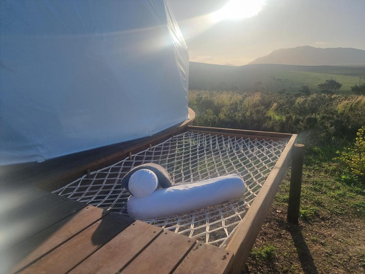 Pom Gratz - Ecodomes Hotel Hartebeesrivier Luaran gambar