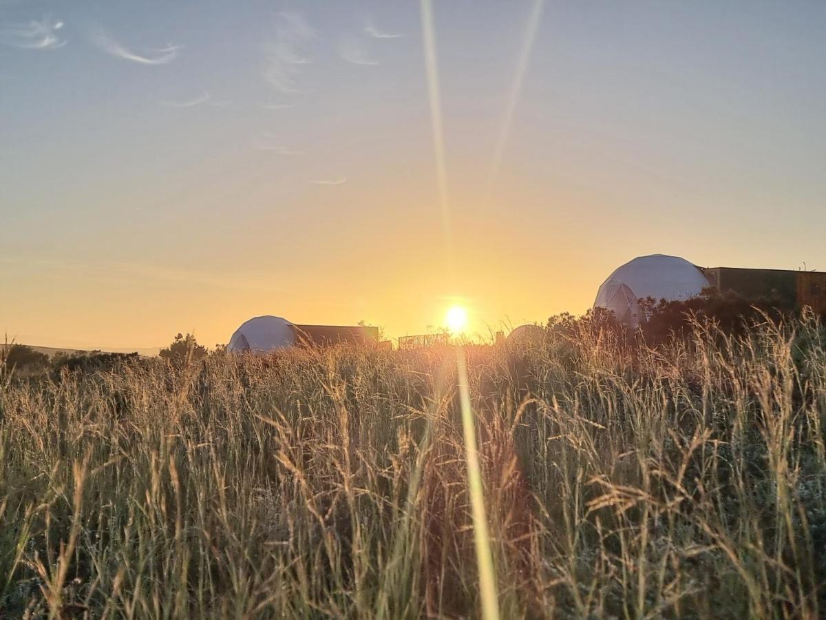 Pom Gratz - Ecodomes Hotel Hartebeesrivier Luaran gambar